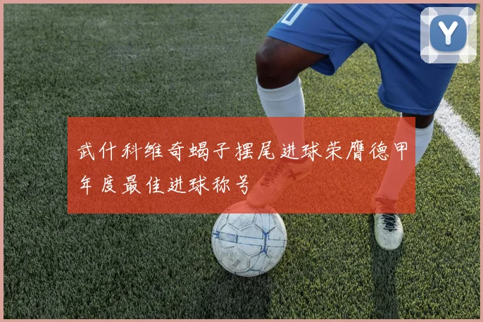 武什科维奇蝎子摆尾进球荣膺德甲年度最佳进球称号